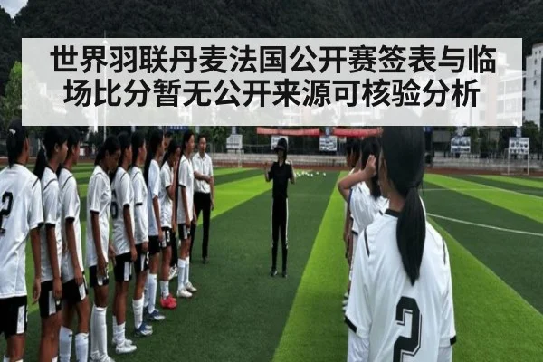 世界羽联丹麦法国公开赛签表与临场比分暂无公开来源可核验分析